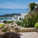Apartment Branka *