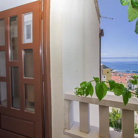 Apartment Branka