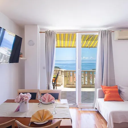 Apartment Branka